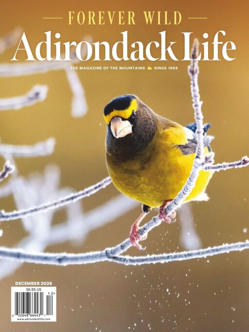 Cover image for Adirondack Life